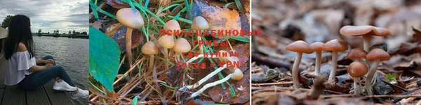 MDMA Алзамай