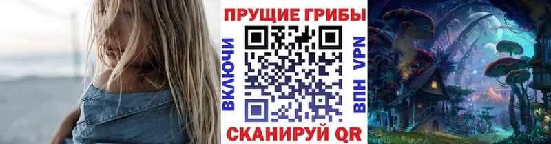 Псилоцибиновые грибы Cubensis  blacksprut ONION  Железногорск-Илимский 